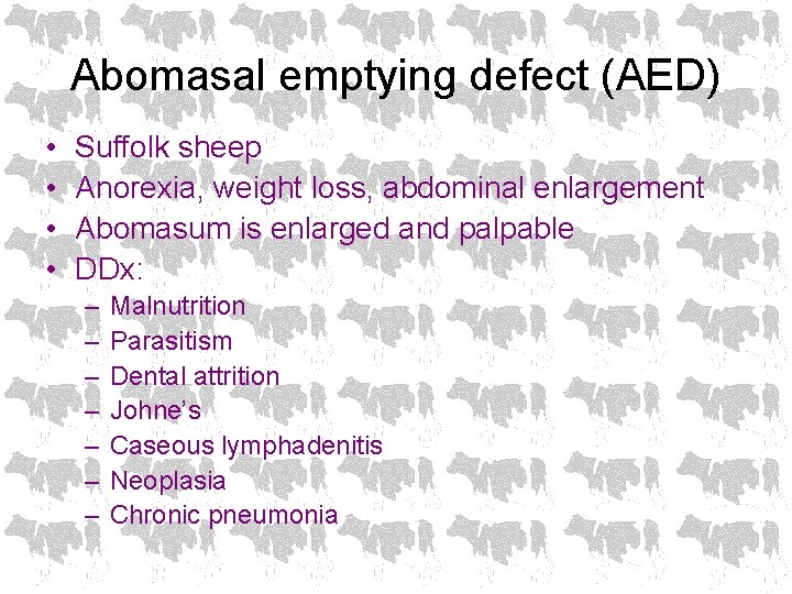 Abomasal emptying defect (AED) • • Suffolk sheep Anorexia, weight loss, abdominal enlargement Abomasum