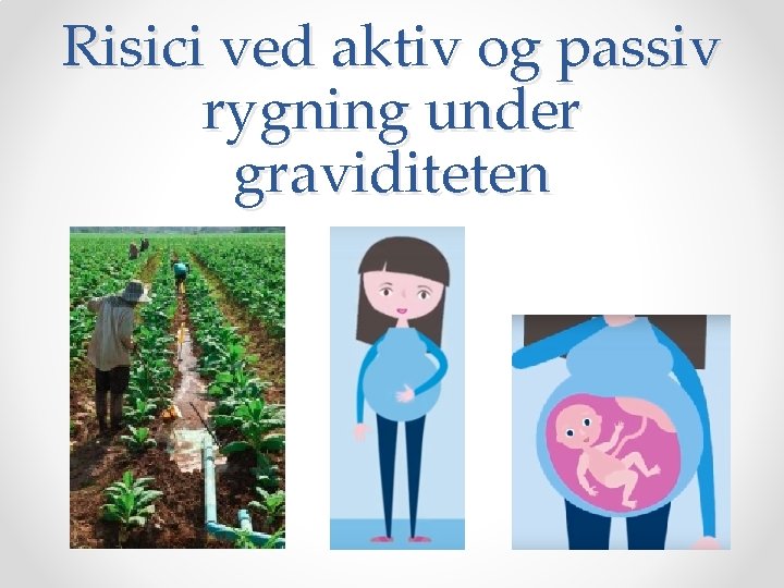 Passiv Rygning Tobak og graviditet DSOG guideline Christiansminde Svendborg d