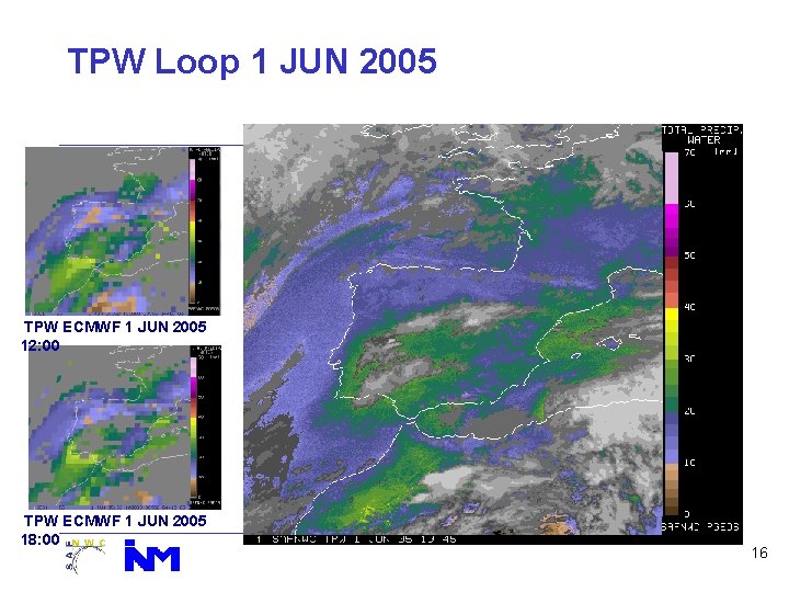 TPW Loop 1 JUN 2005 TPW ECMWF 1 JUN 2005 12: 00 TPW ECMWF