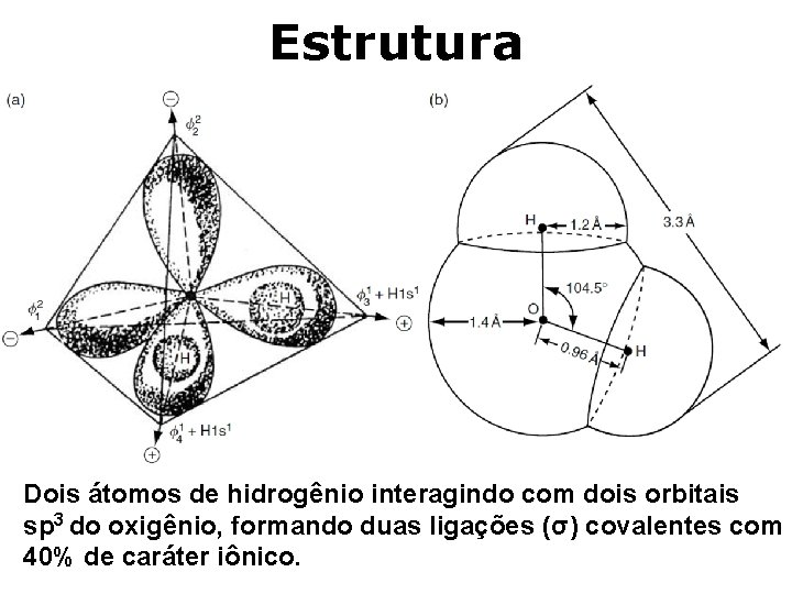 Estrutura Dois átomos de hidrogênio interagindo com dois orbitais sp 3 do oxigênio, formando