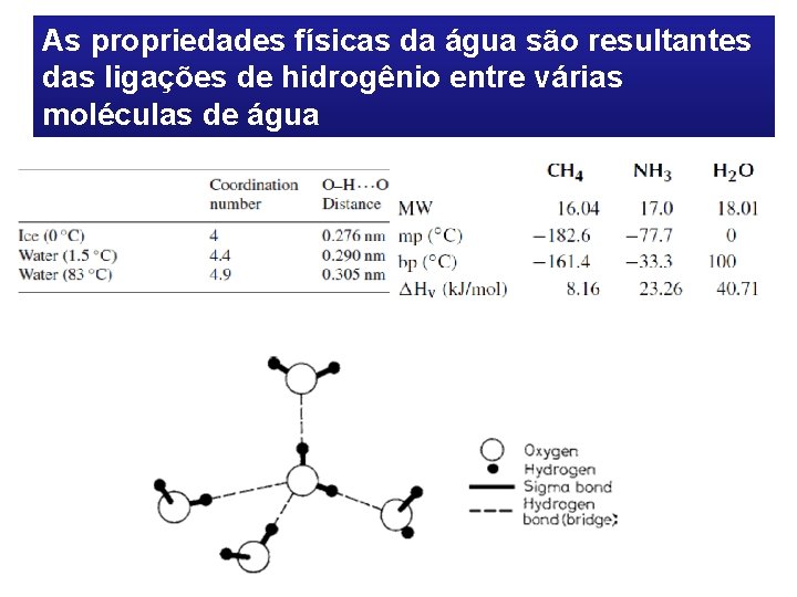 As propriedades físicas da água são resultantes das ligações de hidrogênio entre várias moléculas