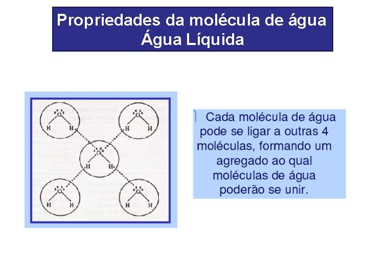 Propriedades da molécula de água Água Líquida 