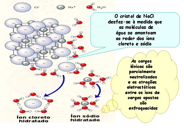 O cristal de Na. Cl desfaz-se à medida que as moléculas de água se