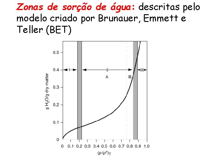 Zonas de sorção de água: descritas pelo modelo criado por Brunauer, Emmett e Teller