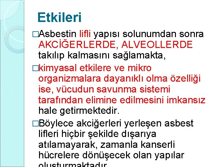 Etkileri �Asbestin lifli yapısı solunumdan sonra AKCİĞERLERDE, ALVEOLLERDE takılıp kalmasını sağlamakta, �kimyasal etkilere ve Etkileri �Asbestin lifli yapısı solunumdan sonra AKCİĞERLERDE, ALVEOLLERDE takılıp kalmasını sağlamakta, �kimyasal etkilere ve