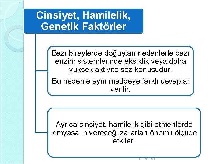 Cinsiyet, Hamilelik, Genetik Faktörler Bazı bireylerde doğuştan nedenlerle bazı enzim sistemlerinde eksiklik veya daha Cinsiyet, Hamilelik, Genetik Faktörler Bazı bireylerde doğuştan nedenlerle bazı enzim sistemlerinde eksiklik veya daha