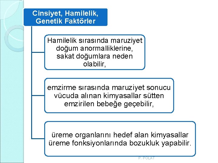 Cinsiyet, Hamilelik, Genetik Faktörler Hamilelik sırasında maruziyet doğum anormalliklerine, sakat doğumlara neden olabilir, emzirme Cinsiyet, Hamilelik, Genetik Faktörler Hamilelik sırasında maruziyet doğum anormalliklerine, sakat doğumlara neden olabilir, emzirme