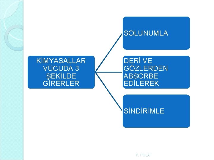 SOLUNUMLA KİMYASALLAR VÜCUDA 3 ŞEKİLDE GİRERLER DERİ VE GÖZLERDEN ABSORBE EDİLEREK SİNDİRİMLE P. POLAT SOLUNUMLA KİMYASALLAR VÜCUDA 3 ŞEKİLDE GİRERLER DERİ VE GÖZLERDEN ABSORBE EDİLEREK SİNDİRİMLE P. POLAT