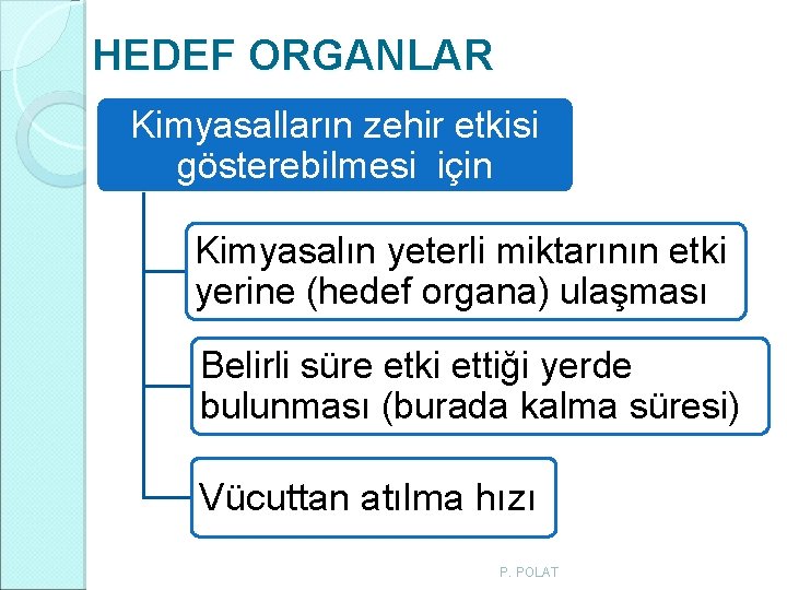 HEDEF ORGANLAR Kimyasalların zehir etkisi gösterebilmesi için Kimyasalın yeterli miktarının etki yerine (hedef organa) HEDEF ORGANLAR Kimyasalların zehir etkisi gösterebilmesi için Kimyasalın yeterli miktarının etki yerine (hedef organa)