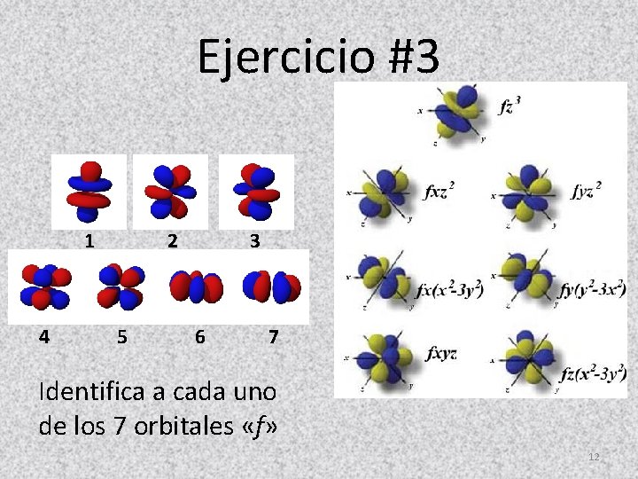 Ejercicio #3 1 2 3 4 5 6 7 Identifica a cada uno de