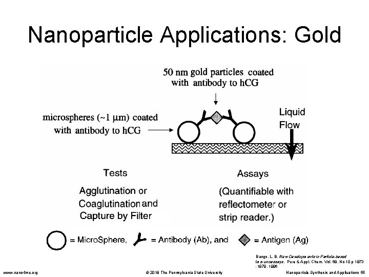 Nanoparticle Applications: Gold www. nano 4 me. org © 2018 The Pennsylvania State University