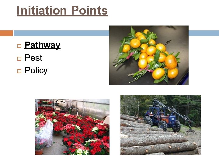 Initiation Points Pathway Pest Policy 