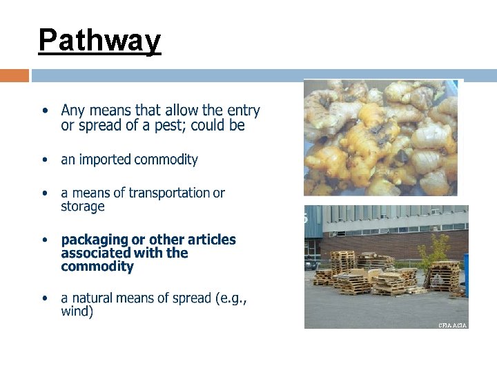 Pathway CFIA-ACIA 