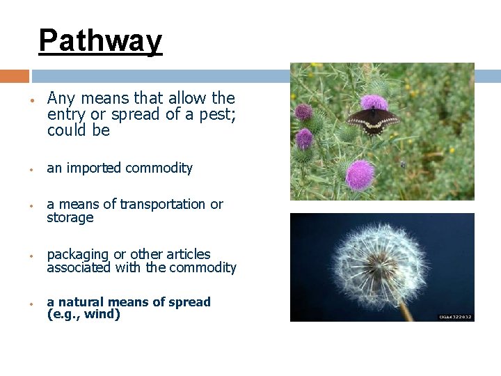 Pathway • • • Any means that allow the entry or spread of a