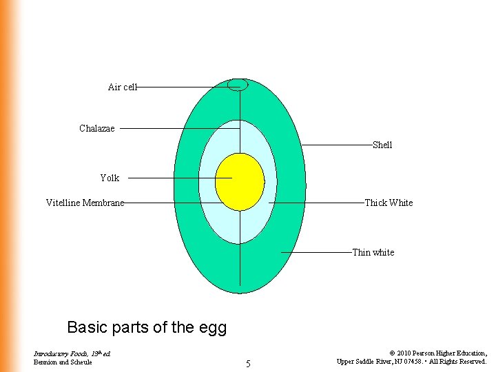 Air cell Chalazae Shell Yolk Vitelline Membrane Thick White Thin white Basic parts of