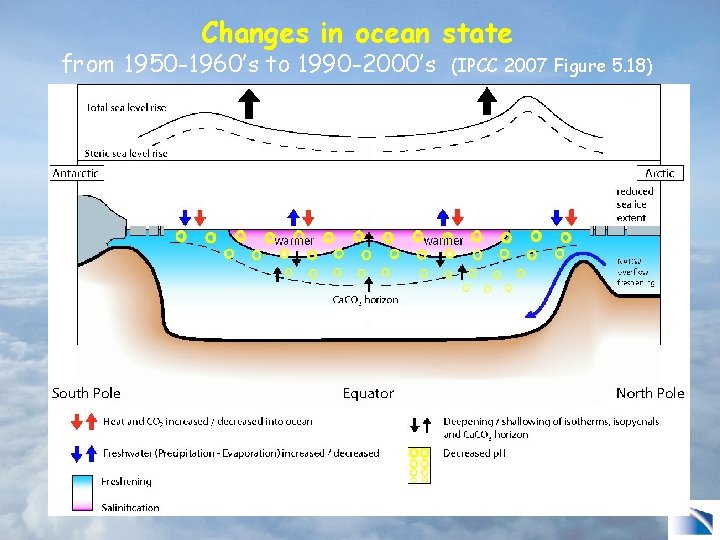 Changes in ocean state from 1950 -1960’s to 1990 -2000’s (IPCC 2007 Figure 5.