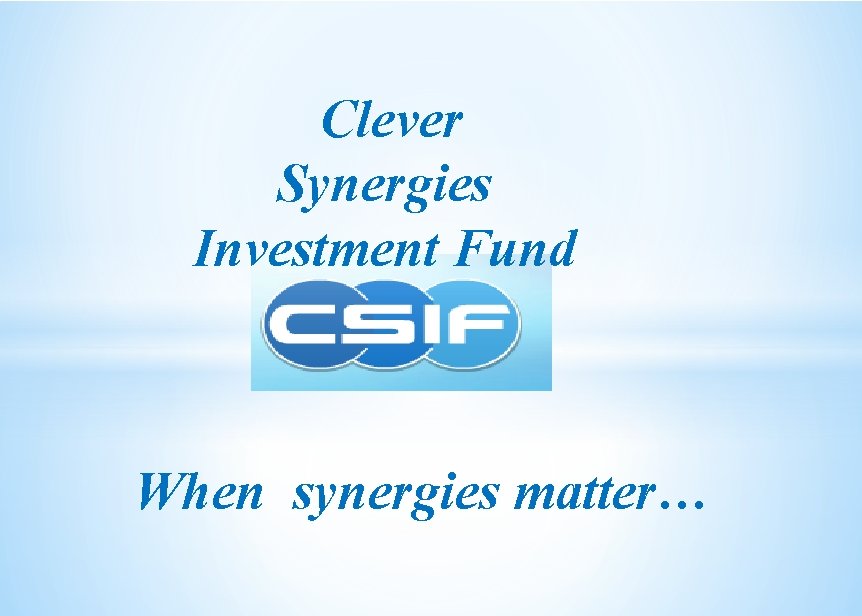 Clever Synergies Investment Fund When synergies matter… 