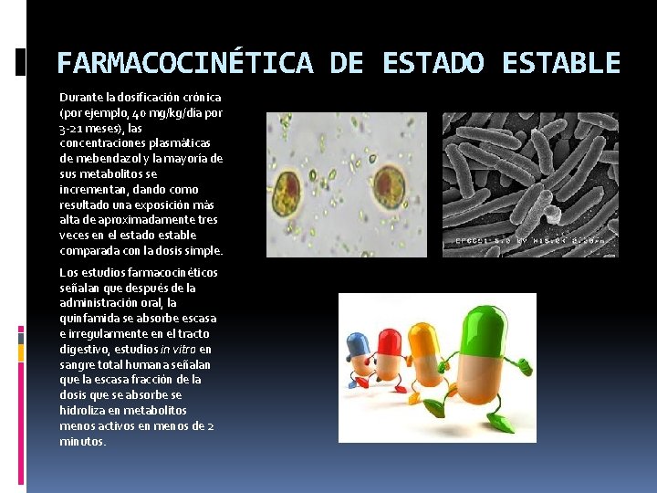 FARMACOCINÉTICA DE ESTADO ESTABLE Durante la dosificación crónica (por ejemplo, 40 mg/kg/día por 3