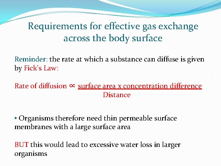 Requirements for effective gas exchange across the body surface Reminder: the rate at which