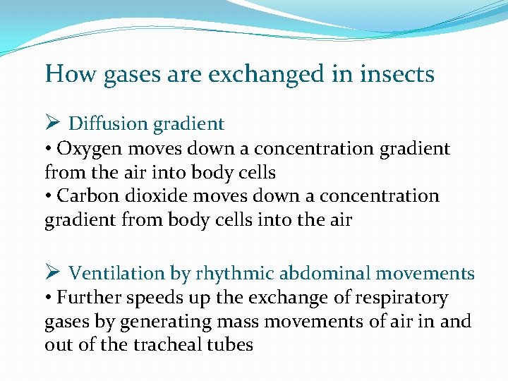 How gases are exchanged in insects Ø Diffusion gradient • Oxygen moves down a
