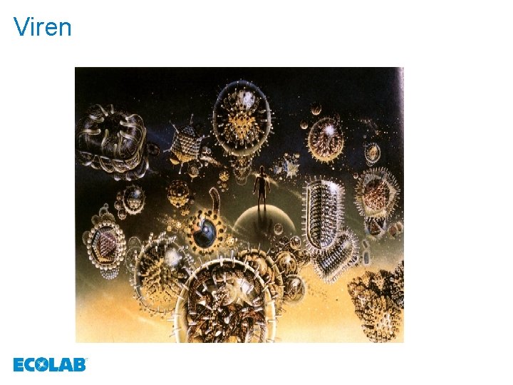 Viren 