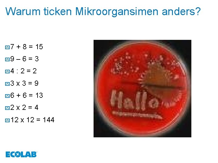 Warum ticken Mikroorgansimen anders? y 7 + 8 = 15 y 9 – 6=3
