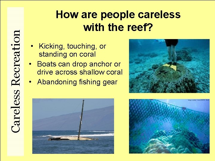 Careless Recreation How are people careless with the reef? • Kicking, touching, or standing