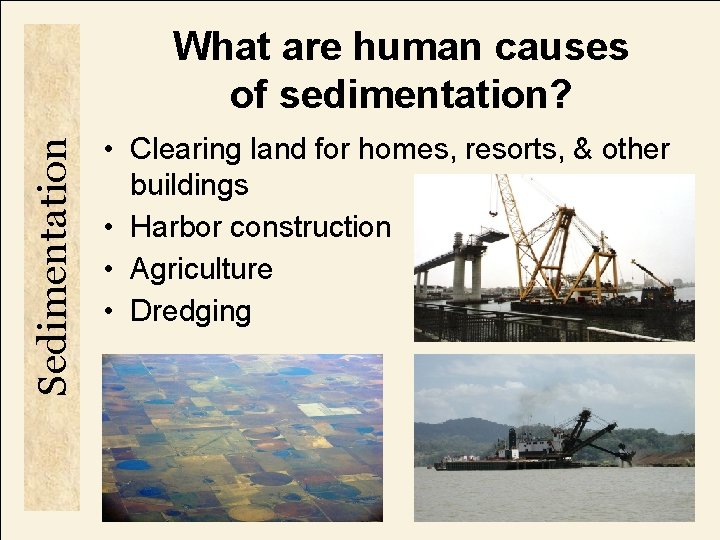 Sedimentation What are human causes of sedimentation? • Clearing land for homes, resorts, &
