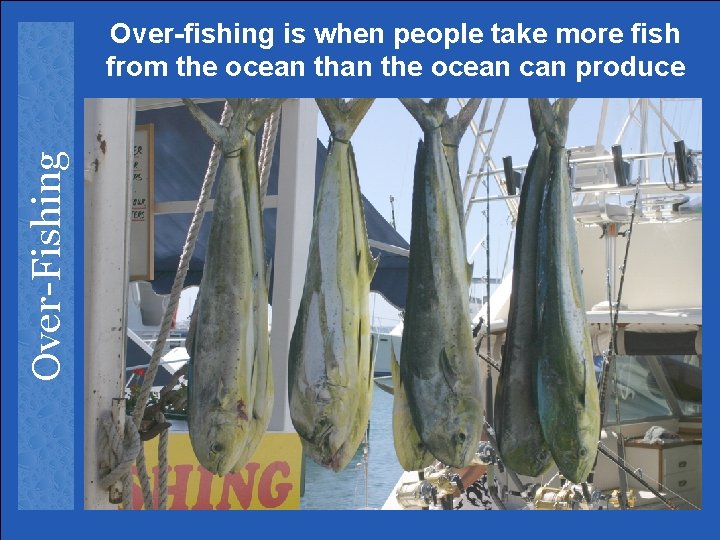 Over-Fishing Over-fishing is when people take more fish from the ocean can produce 