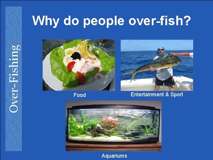 Over-Fishing Why do people over-fish? Entertainment & Sport Food Aquariums 