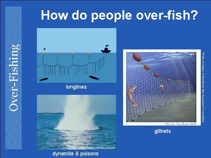 Photo courtesy of Monterey Bay Aquarium Foundation Over-Fishing How do people over-fish? longlines gillnets