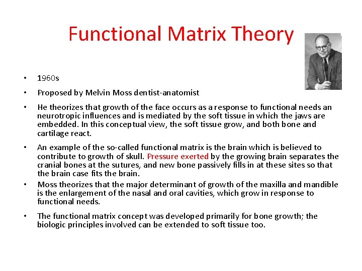 Functional Matrix Theory • 1960 s • Proposed by Melvin Moss dentist-anatomist • He