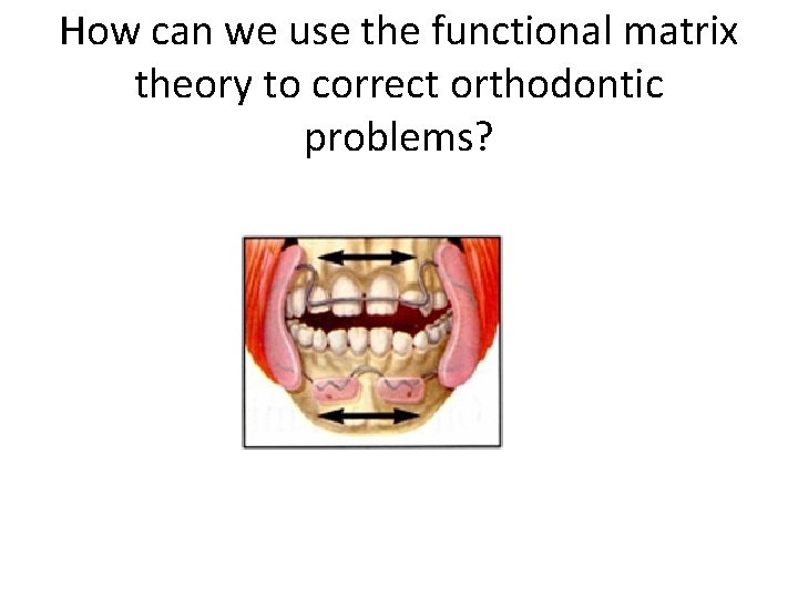 How can we use the functional matrix theory to correct orthodontic problems? 