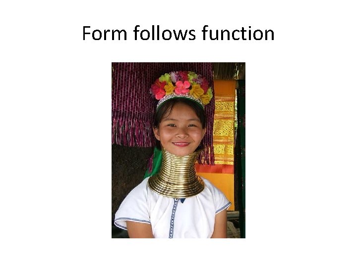 Form follows function 