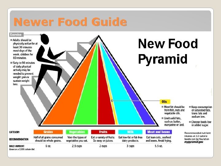 Newer Food Guide 