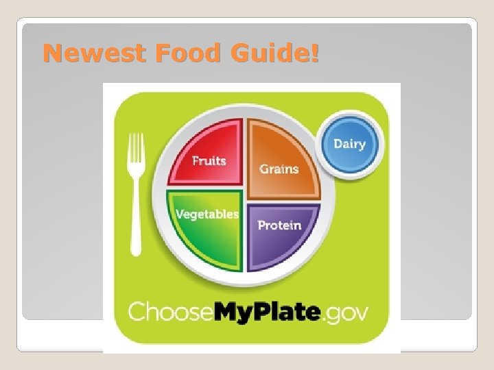 Newest Food Guide! 