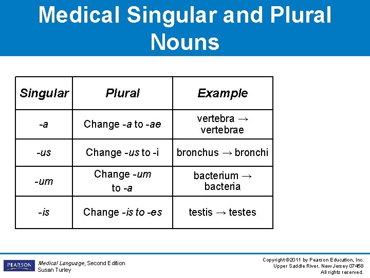 Medical Singular and Plural Nouns Singular Plural Example -a Change -a to -ae vertebra Medical Singular and Plural Nouns Singular Plural Example -a Change -a to -ae vertebra