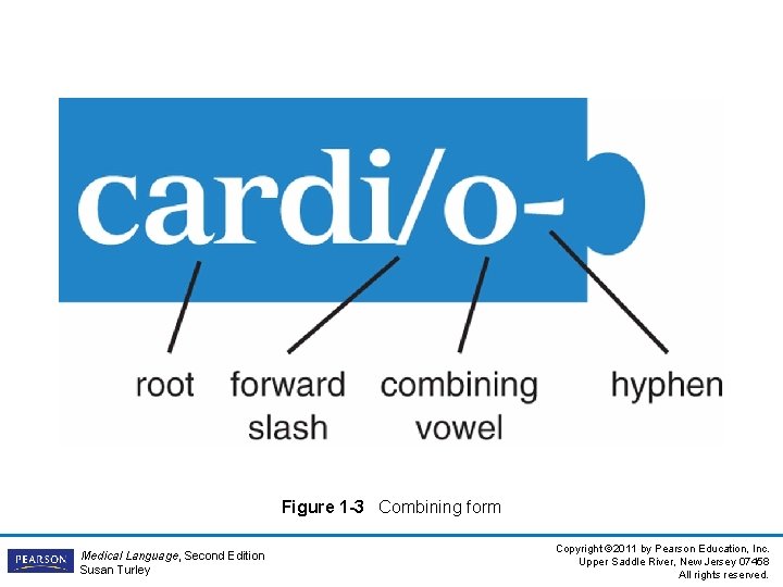 Figure 1 -3 Combining form Medical Language, Second Edition Susan Turley Copyright © 2011 Figure 1 -3 Combining form Medical Language, Second Edition Susan Turley Copyright © 2011