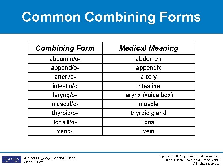 Common Combining Forms Combining Form Medical Meaning abdomin/oappend/oarteri/ointestin/o laryng/omuscul/othyroid/otonsill/oveno- abdomen appendix artery intestine larynx Common Combining Forms Combining Form Medical Meaning abdomin/oappend/oarteri/ointestin/o laryng/omuscul/othyroid/otonsill/oveno- abdomen appendix artery intestine larynx