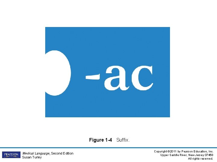 Figure 1 -4 Suffix. Medical Language, Second Edition Susan Turley Copyright © 2011 by Figure 1 -4 Suffix. Medical Language, Second Edition Susan Turley Copyright © 2011 by