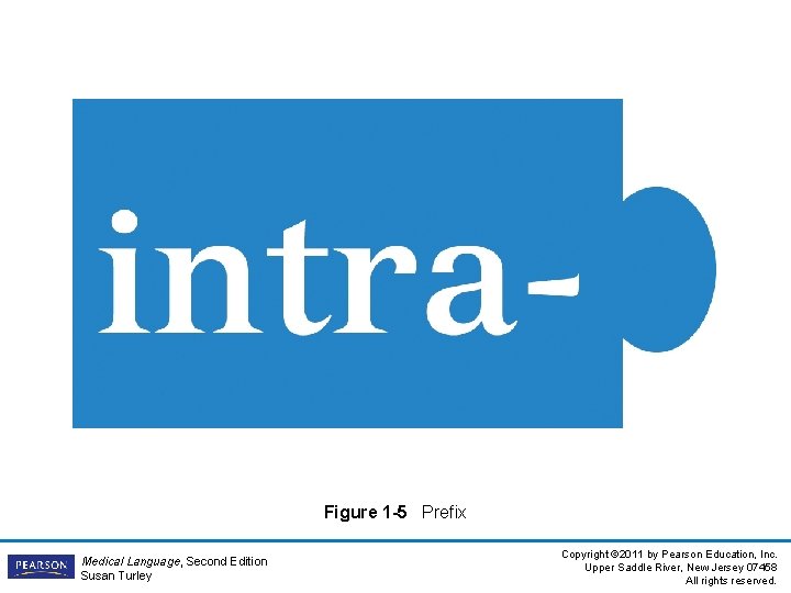 Figure 1 -5 Prefix Medical Language, Second Edition Susan Turley Copyright © 2011 by Figure 1 -5 Prefix Medical Language, Second Edition Susan Turley Copyright © 2011 by