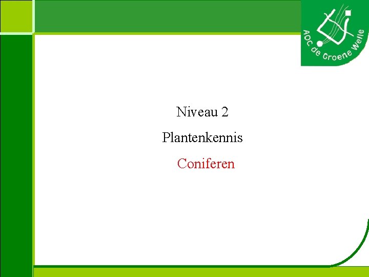  Niveau 2 Plantenkennis Coniferen 