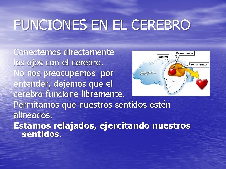 FUNCIONES EN EL CEREBRO Conectemos directamente los ojos con el cerebro. No nos preocupemos