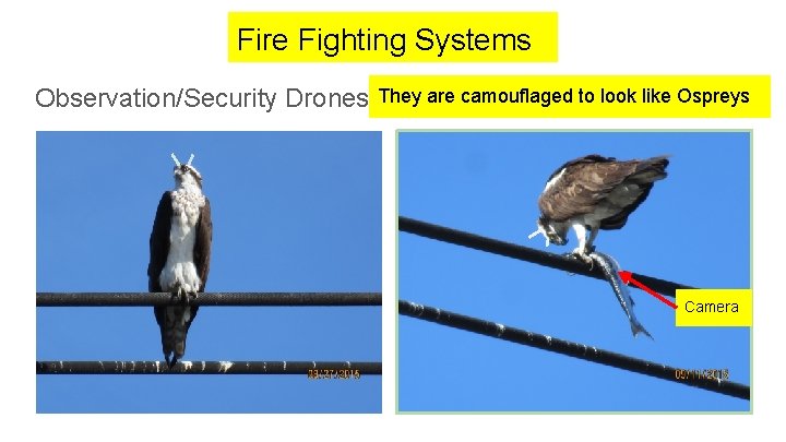 Fire Fighting Systems Observation/Security Drones They are camouflaged to look like Ospreys Camera 