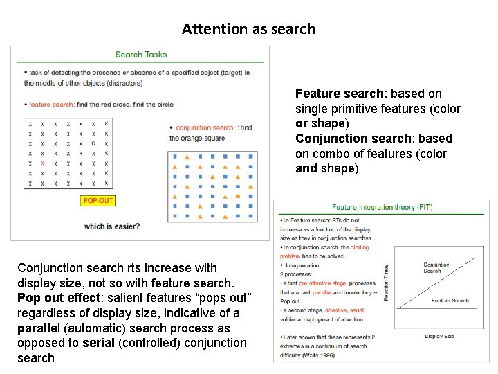 Attention as search Feature search: based on single primitive features (color or shape) Conjunction