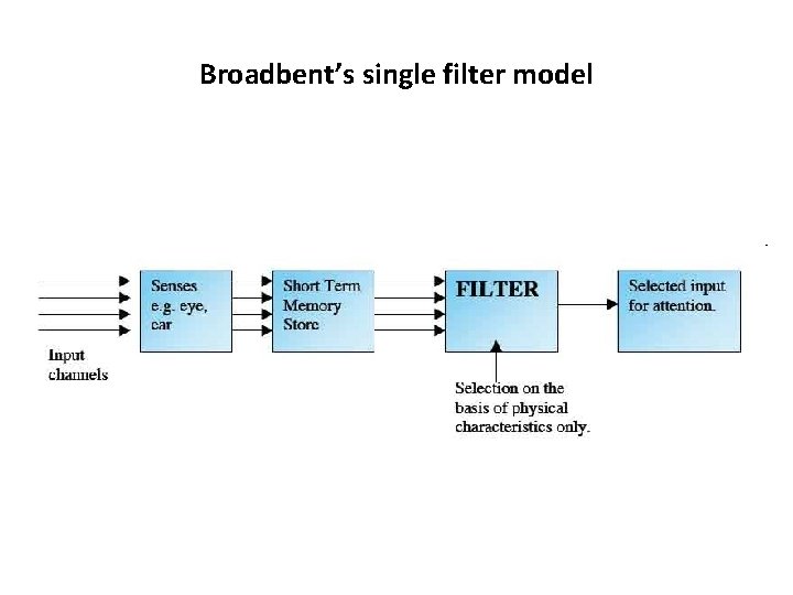 Broadbent’s single filter model http: //www. simplypsychology. pwp. blueyonder. co. uk/broadbent. jpg 