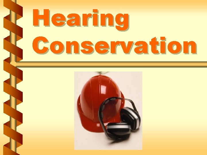 Hearing Conservation 