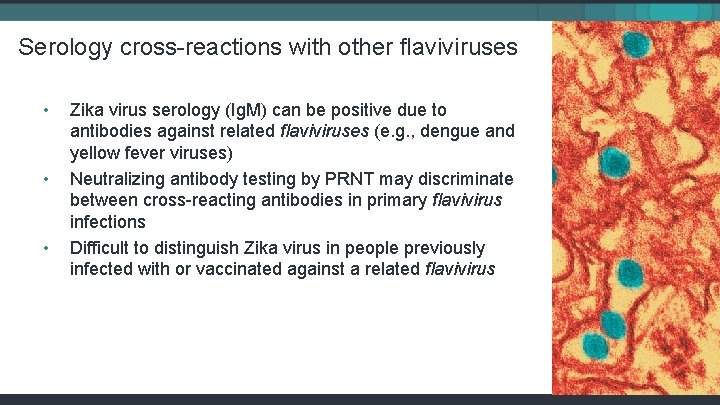 Serology cross-reactions with other flaviviruses • • • Zika virus serology (Ig. M) can