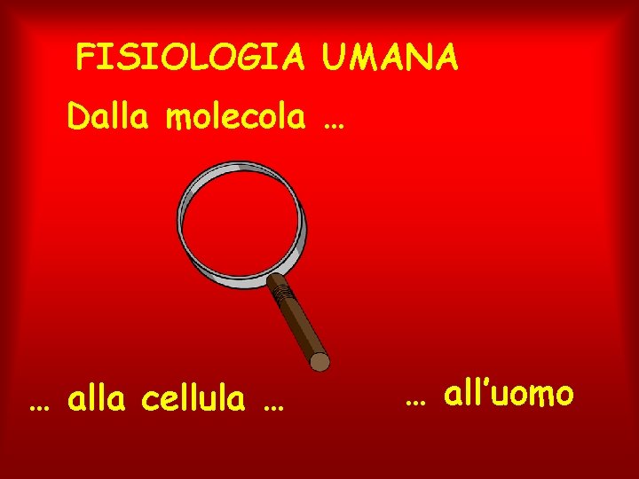 FISIOLOGIA UMANA Dalla molecola … … alla cellula … … all’uomo 