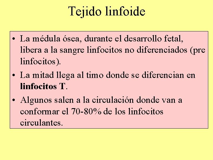 Tejido linfoide • La médula ósea, durante el desarrollo fetal, libera a la sangre Tejido linfoide • La médula ósea, durante el desarrollo fetal, libera a la sangre